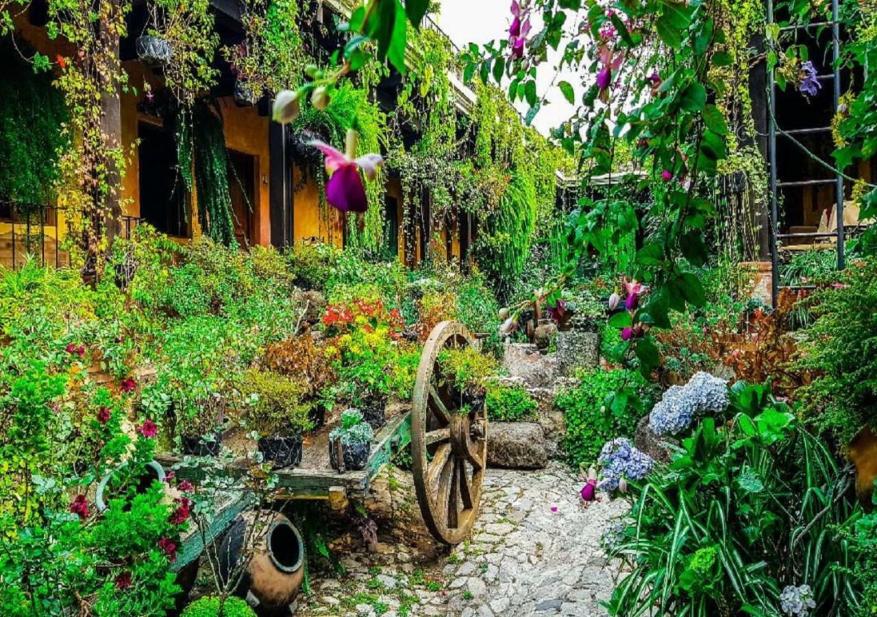 Hotel Eterna Primavera Antigua Zewnętrze zdjęcie